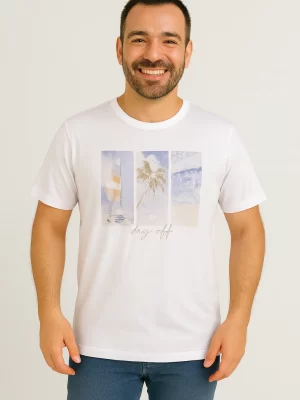 Camiseta Masculina Estampada Malwee – Day Off